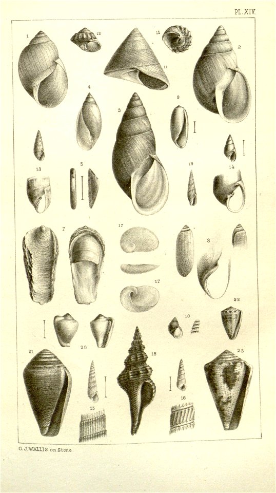 n422_w1150