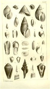 n422_w1150