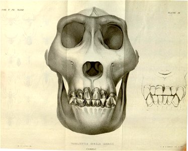n557_w1150
