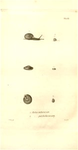 n545_w1150