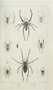 n566_w1150