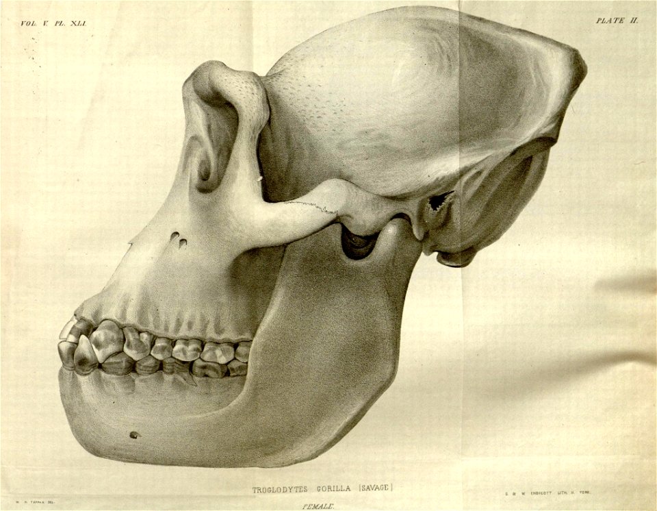 n555_w1150