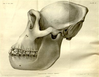 n555_w1150