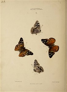 n243_w1150