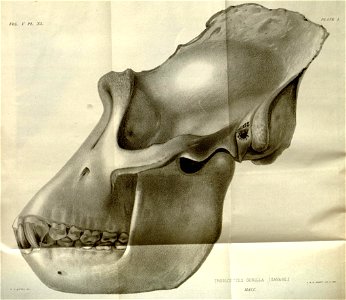 n554_w1150