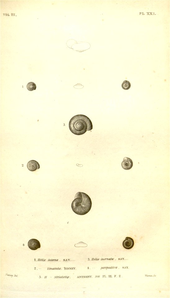 n557_w1150