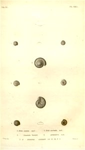 n557_w1150