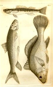 n542_w1150