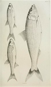 n422_w1150