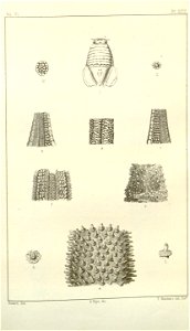 n594_w1150