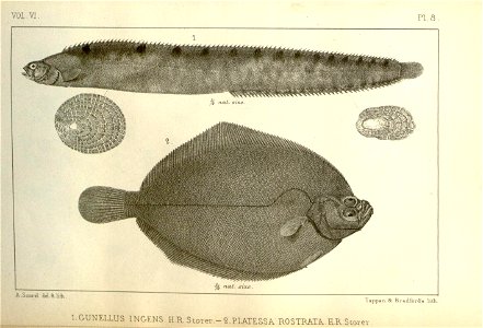 n306_w1150