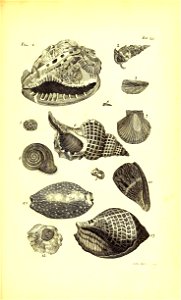 n386_w1150
