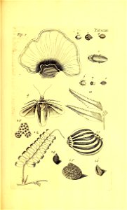 n176_w1150