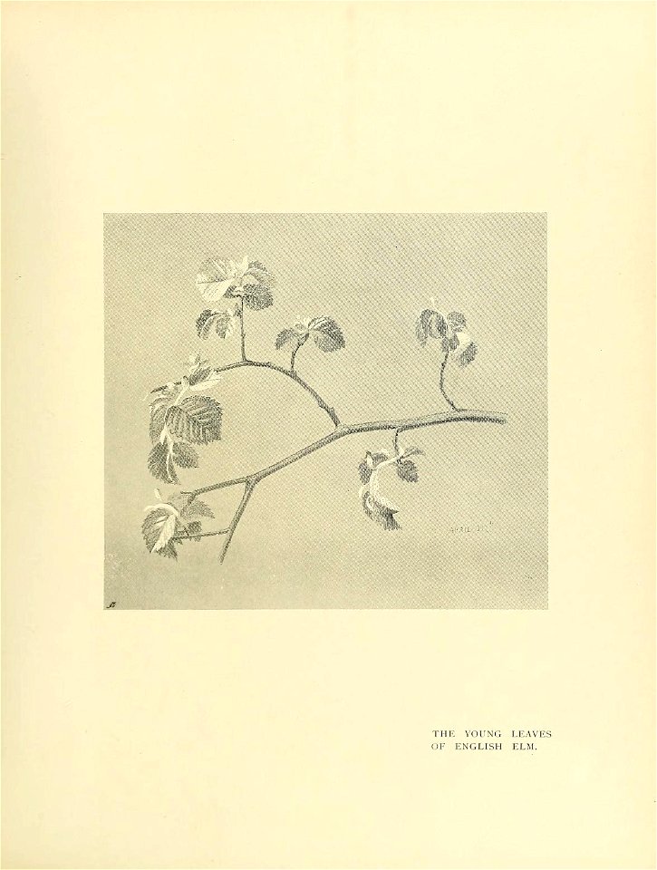 n170_w1150