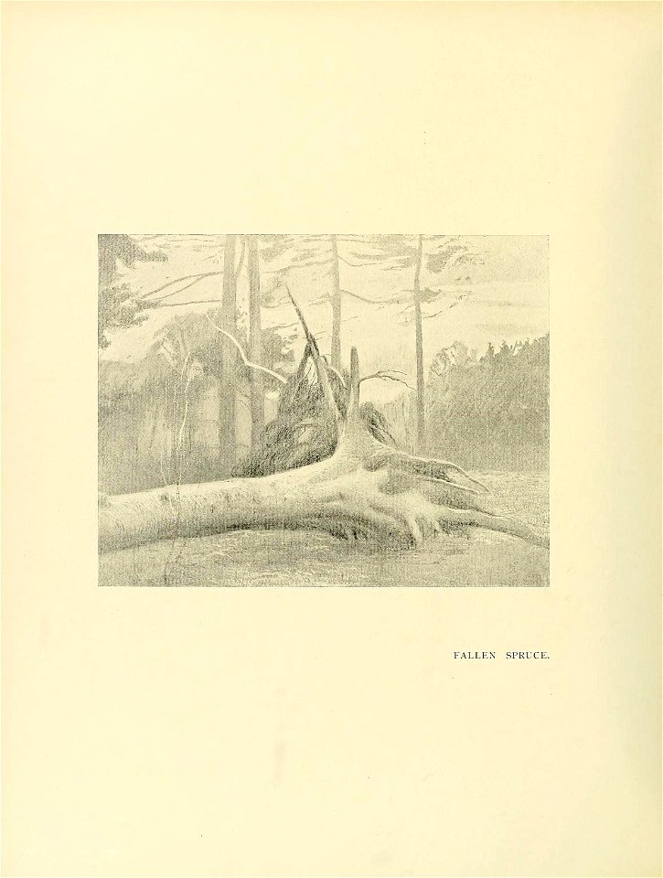 n259_w1150