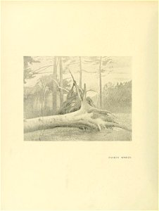 n259_w1150
