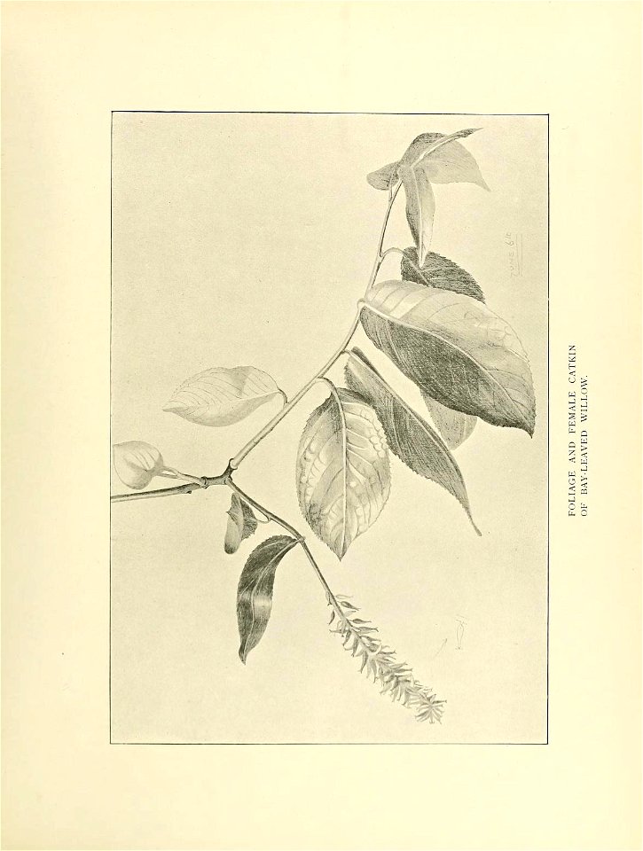 n122_w1150