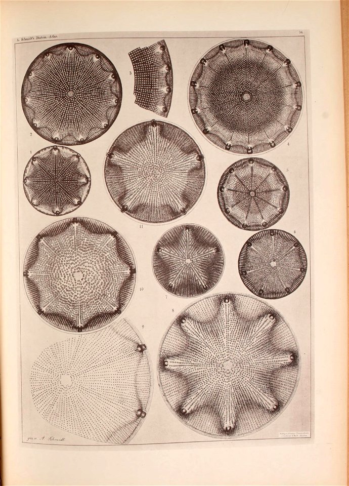 n176_w1150