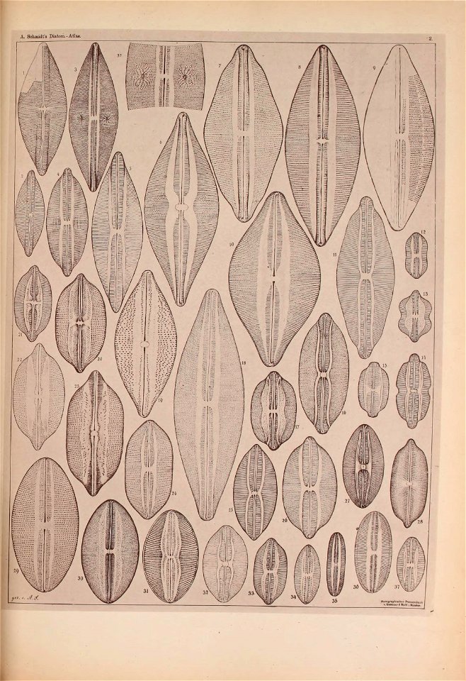 n16_w1150