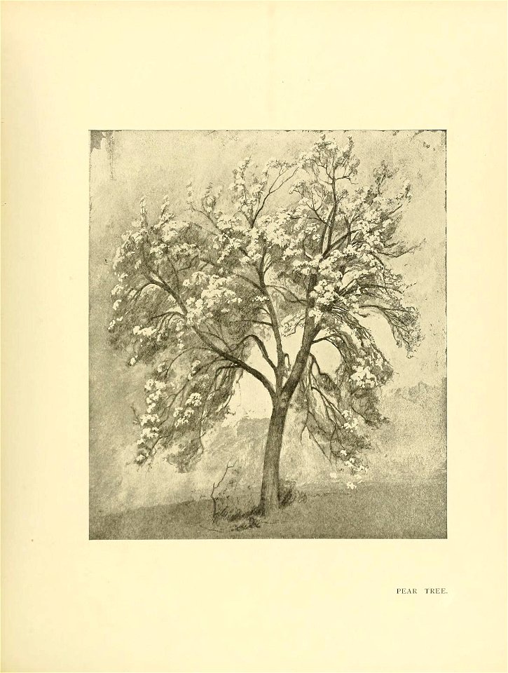 n252_w1150