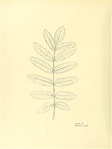 n213_w1150
