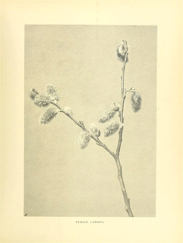 n112_w1150