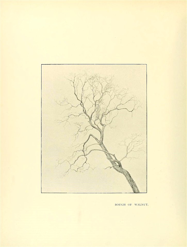 n65_w1150