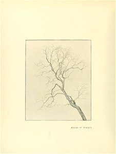 n65_w1150
