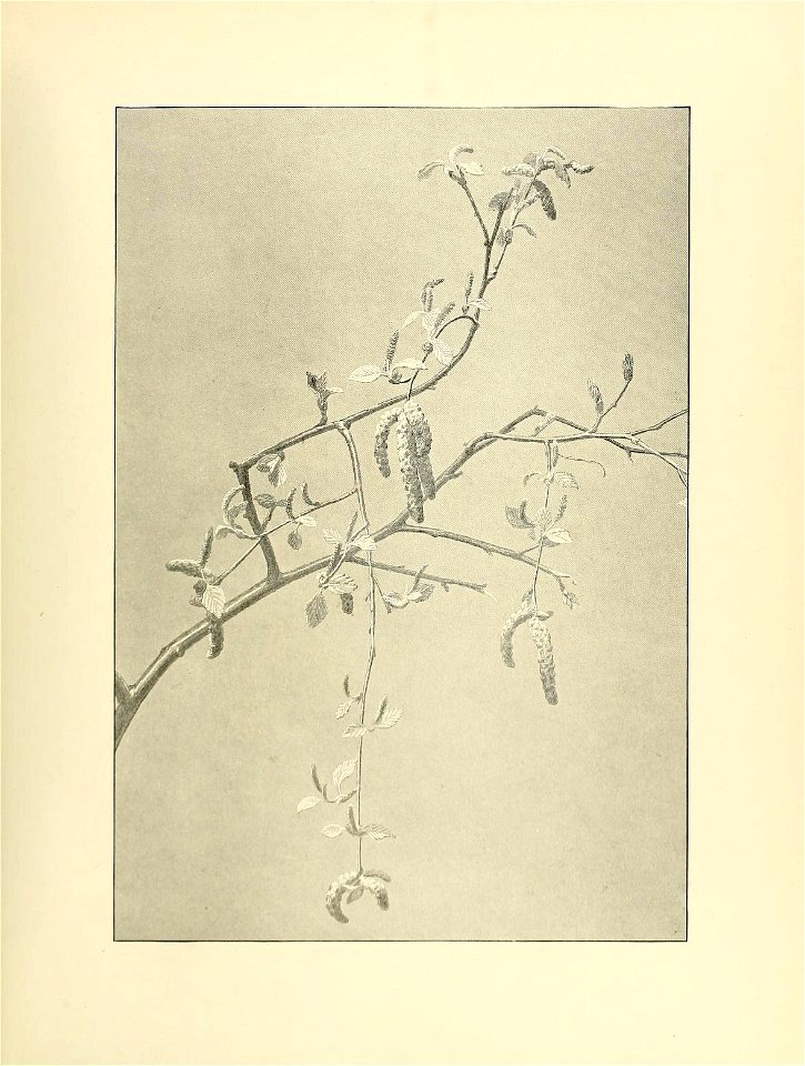 n16_w1150