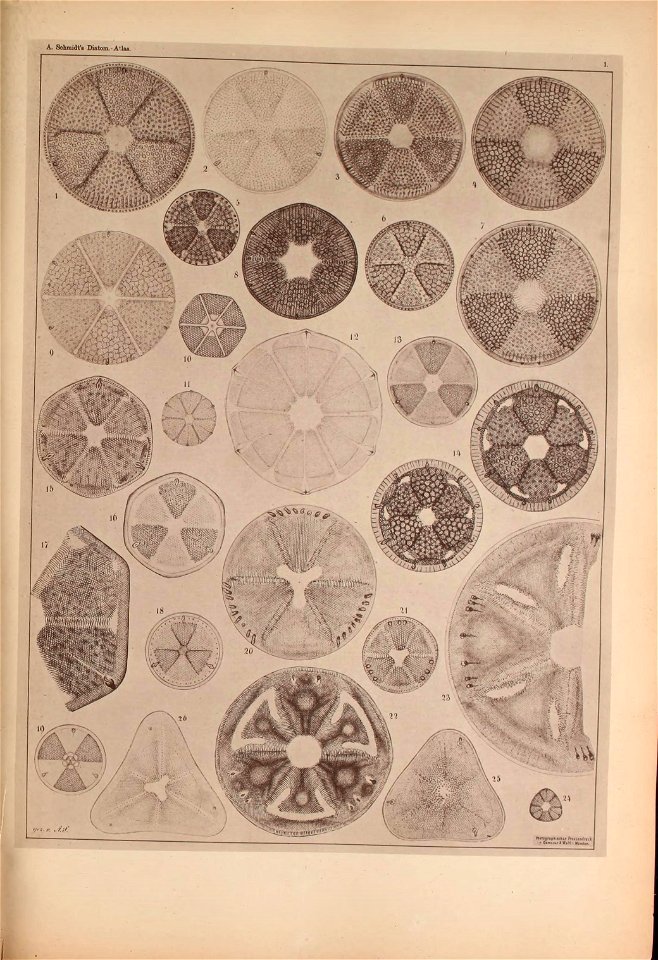 n12_w1150