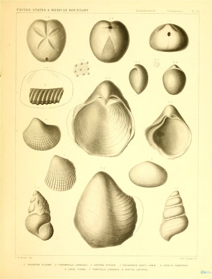 n228_w1150