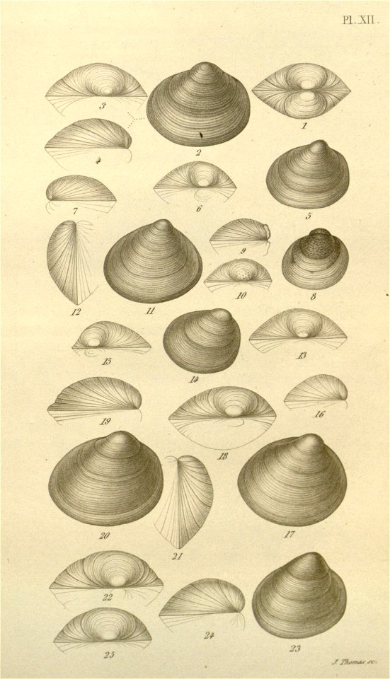 n587_w1150