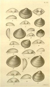 n587_w1150