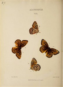 n151_w1150