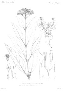 n50_w1150