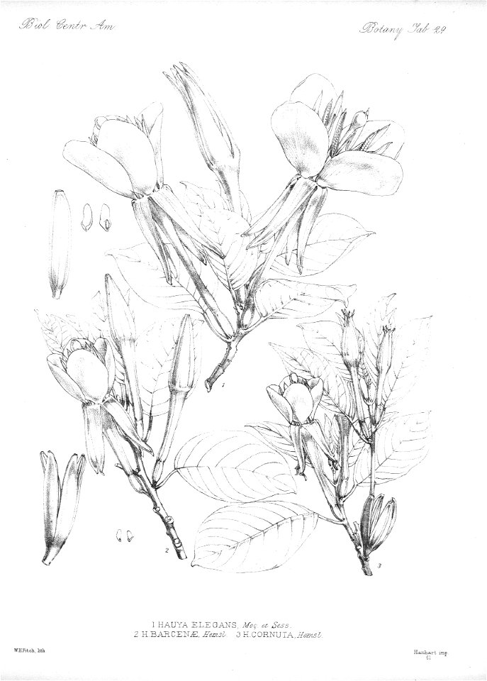 n35_w1150