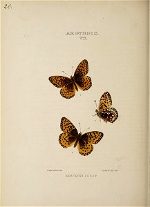 n147_w1150