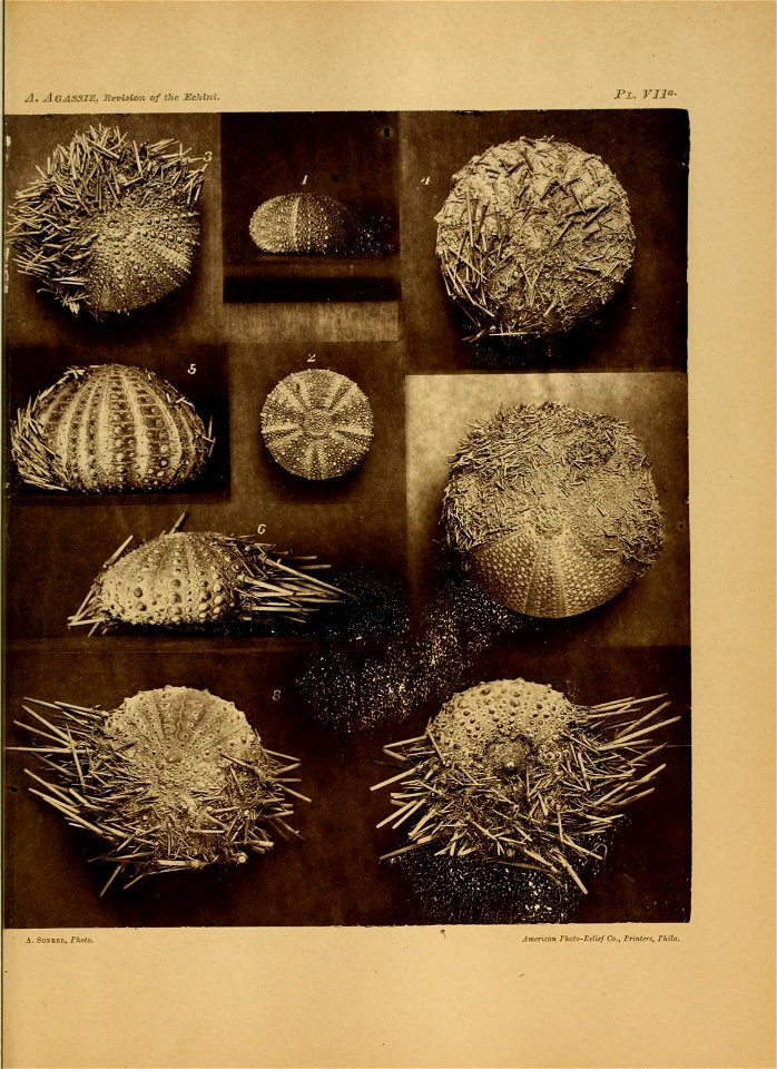 n138_w1150