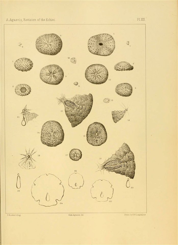 n198_w1150