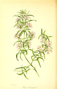 n123_w1150