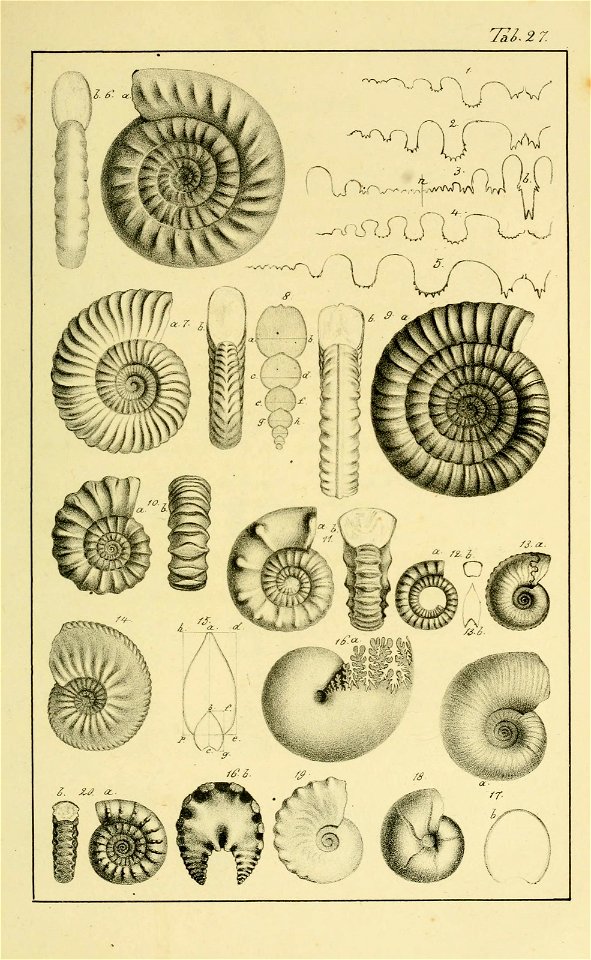 n116_w1150