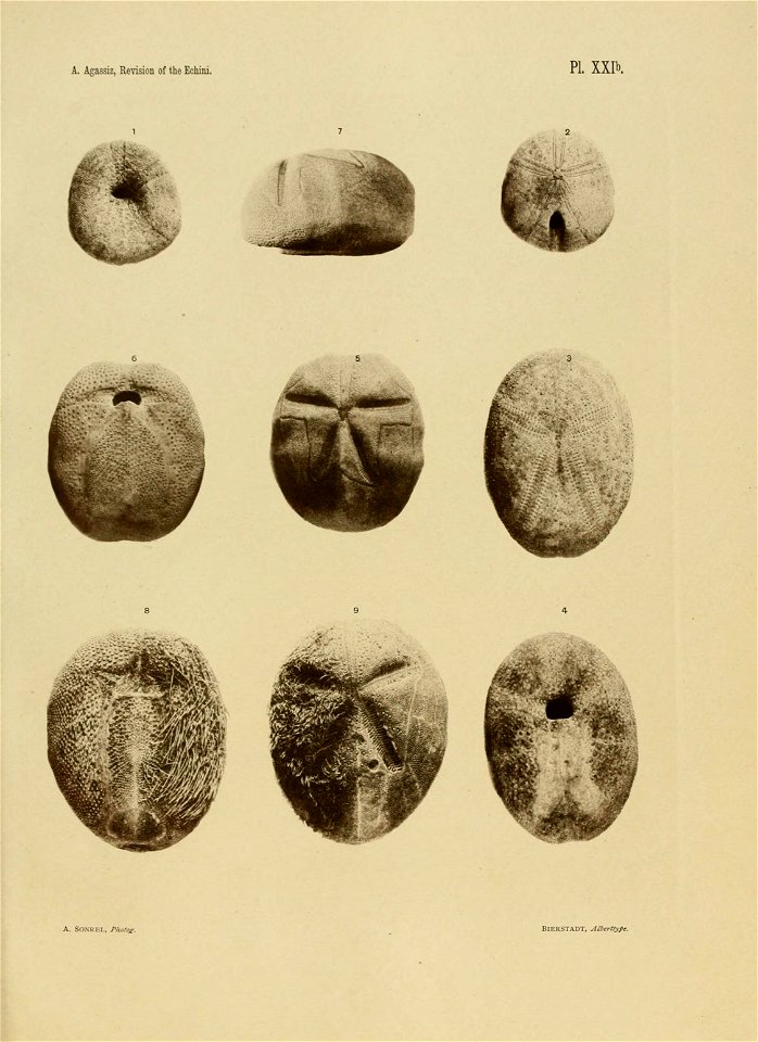 n302_w1150