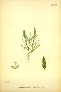 n296_w1150