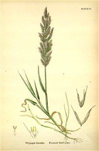 n251_w1150