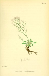 n464_w1150