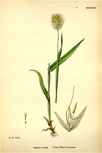 n249_w1150