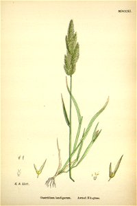 n248_w1150