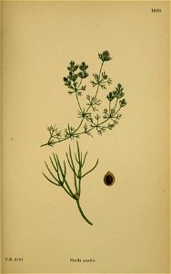 n508_w1150