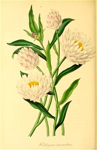 n365_w1150