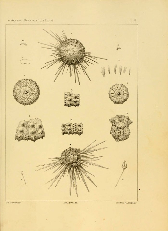 n82_w1150